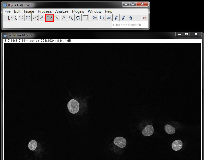 PART 6 SIMPLE IMAGE MEASUREMENTS · Fiji Intermediate